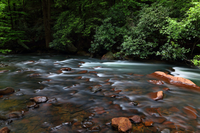 Обои картинки фото природа, реки, озера, поток, деревья, река, вода