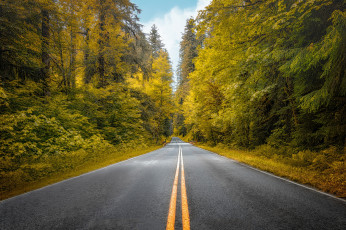 Картинка природа дороги простор