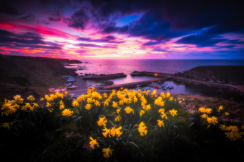 Картинка природа луга простор