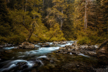 Картинка природа реки озера простор