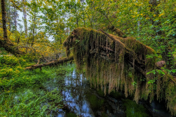 Картинка природа реки озера простор