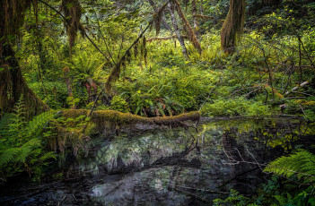 Картинка природа реки озера простор