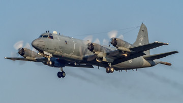 Картинка авиация боевые+самолёты морской разведчик