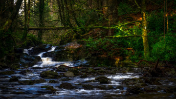 Картинка природа реки озера простор