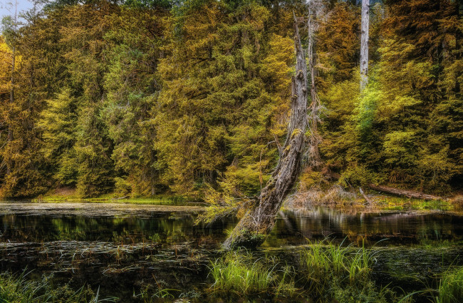 Обои картинки фото природа, реки, озера, простор