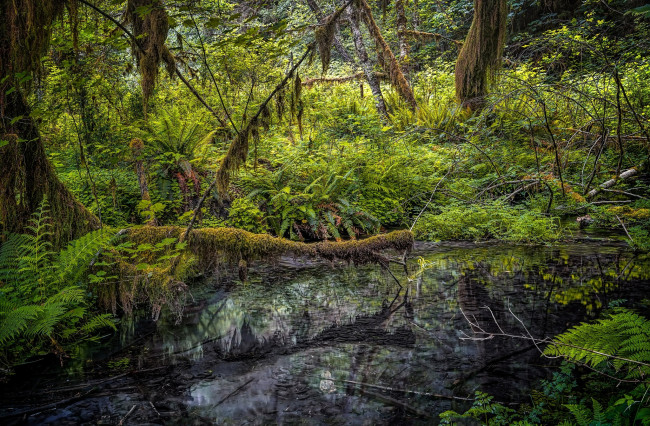 Обои картинки фото природа, реки, озера, простор