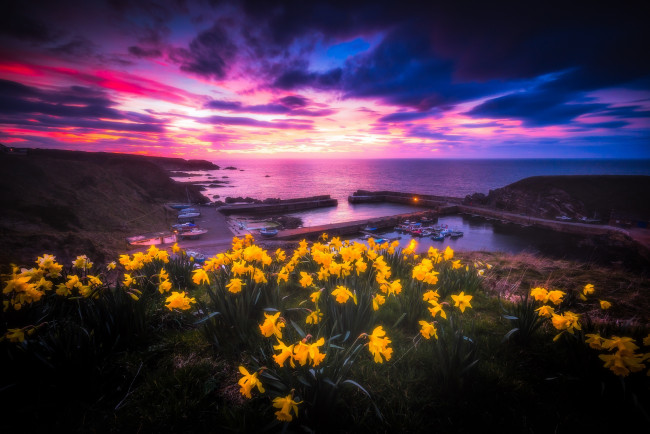 Обои картинки фото природа, луга, простор