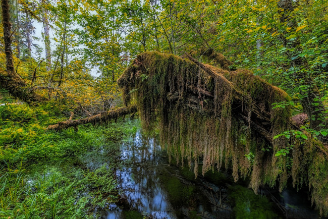 Обои картинки фото природа, реки, озера, простор