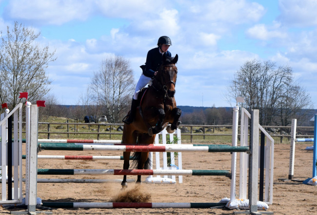 Обои картинки фото спорт, конный спорт, прыжок, лошадь