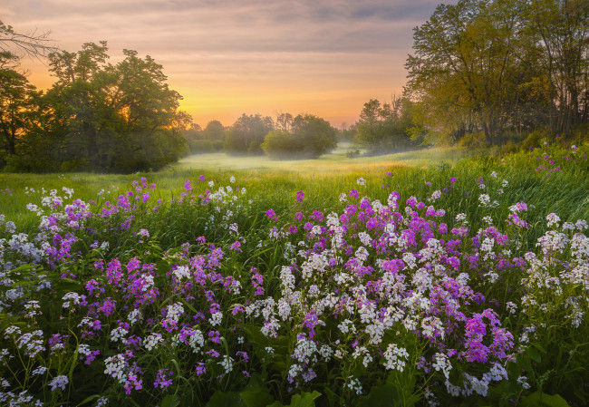 Обои картинки фото природа, луга, простор