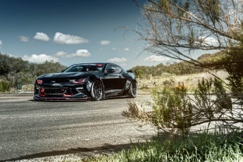 Картинка chevrolet+camaro+ss автомобили camaro chevrolet ss super sport легендарный американский мускулистый парень