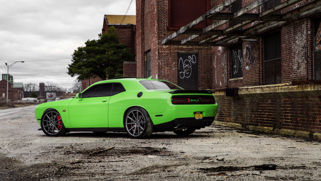 Обои картинки фото автомобили, dodge, challenger, srt
