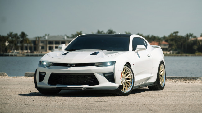 Обои картинки фото chevrolet camaro ss, автомобили, camaro, chevrolet, ss, super, sport, легендарный, американский, мускулистый, парень