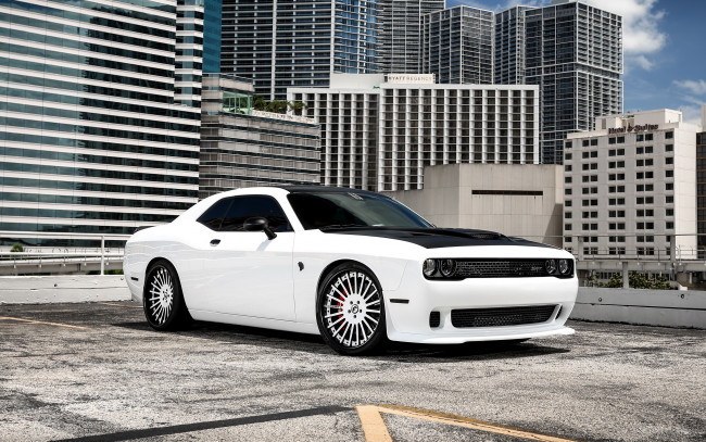 Обои картинки фото dodge challenger, автомобили, dodge, challenger, этот, паренёк, любит, утроить, классное, жогово