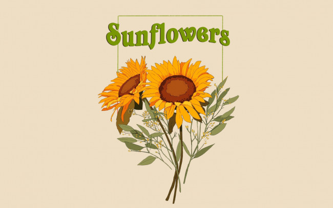 Обои картинки фото рисованное, цветы, подсолнухи