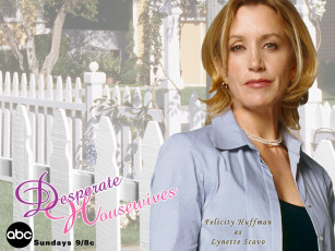 Картинка desperate housewifes кино фильмы housewives