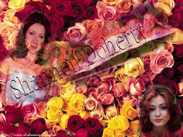 Обои картинки фото Shannen Doherty, шенон, доэрти, девушки