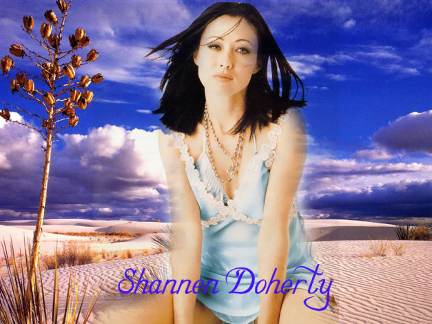 Обои картинки фото Shannen Doherty, шенон, доэрти, девушки
