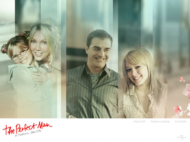 Обои картинки фото the, perfect, man, кино, фильмы