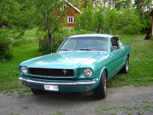 Картинка автомобили mustang