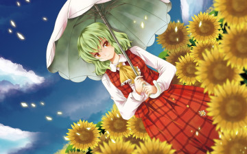 Картинка аниме touhou