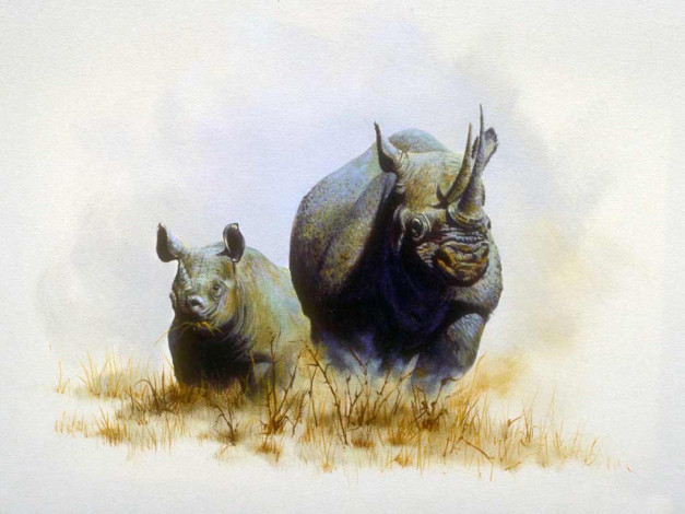 Обои картинки фото рисованные, животные