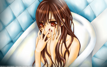 Картинка аниме vampire knight