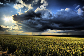 Картинка природа поля облака