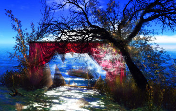 Картинка 3д графика fantasy фантазия дерево паутина занавес