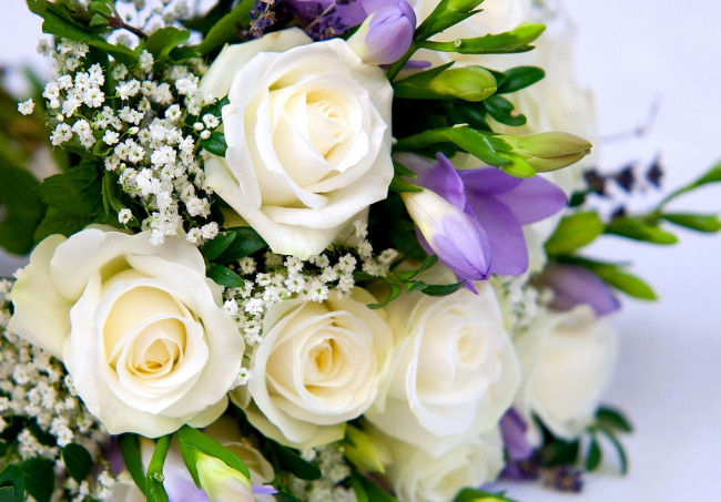 Обои картинки фото цветы, букеты, композиции, фрезии, розы