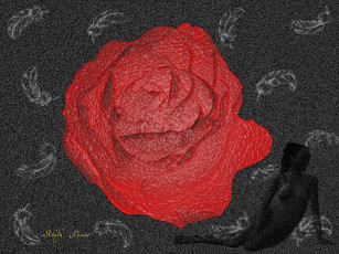 Картинка 3д графика flowers цветы роза