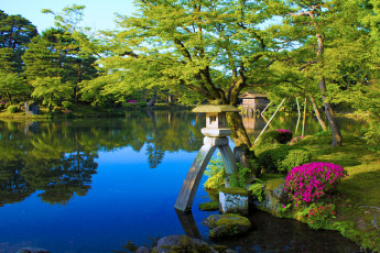 Картинка природа парк