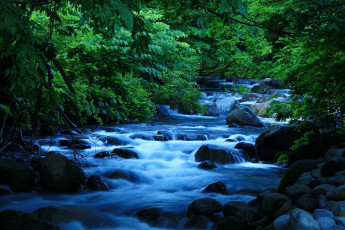 Картинка природа реки озера лес река