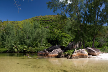 Картинка seychelles praslin природа тропики остров