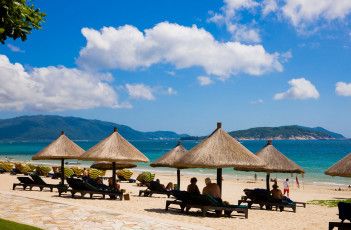 Картинка природа тропики