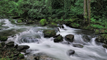 Картинка природа реки озера река лес