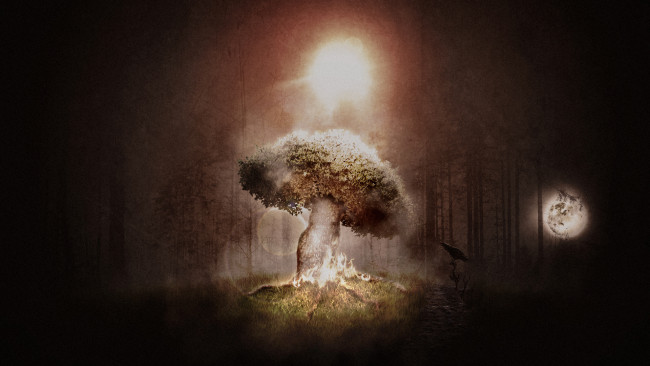 Обои картинки фото summer, solstice, 3д, графика, nature, landscape, природа, дерево, полумрак, свет