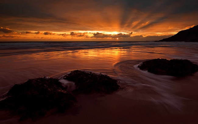 Обои картинки фото природа, побережье, трава, вечер, закат