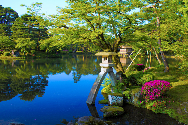 Обои картинки фото природа, парк