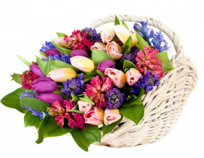 Картинка цветы букеты +композиции корзина