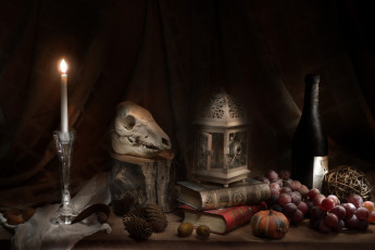 Картинка разное кости +рентген натюрморт череп фрукты