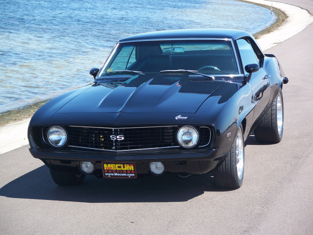 Обои картинки фото автомобили, camaro