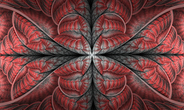 Картинка 3д+графика фракталы+ fractal фон цвета узор