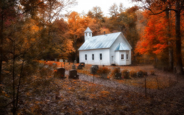 Картинка города -+другое храм кладбище лес