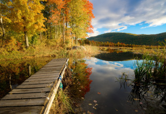 Картинка природа реки озера река лес