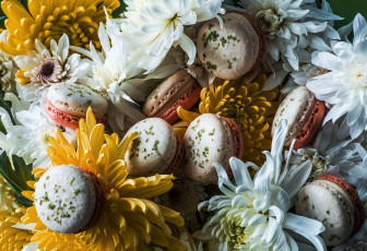 Картинка еда макаруны цветы пирожные