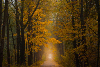 Картинка природа дороги тракт