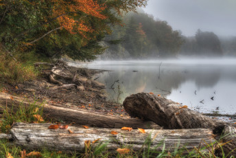 Картинка природа реки озера лес река