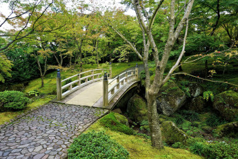 Картинка природа дороги тракт