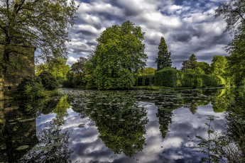 Картинка природа реки озера лес река